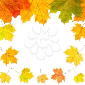 Autumn border card of colored leaves  isolated on white 