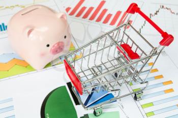 Shopping cart and  piggy bank with printed out business charts 