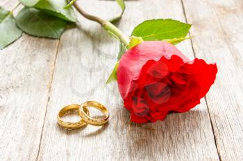 Two golden rings and red rose on old wood background