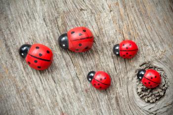  Ladybugs family on the old wooden background