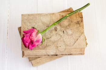 Old books and dry rose on white wooden background