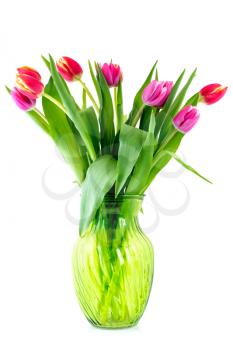 Bouquet from tulips in glass vase isolated on white background
