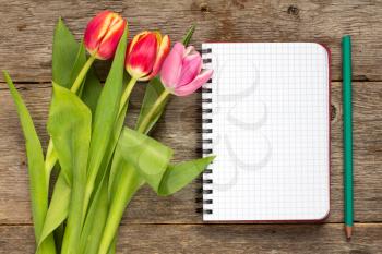 Tulip bouquet and blank notebook on a dark wooden planks