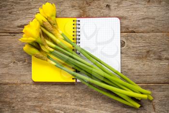 Bunch of yellow daffodil flowers and spiral notebook for your text