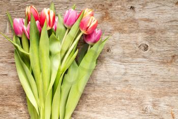   Bunch of beautiful tulip flowers on wooden background with copy-space