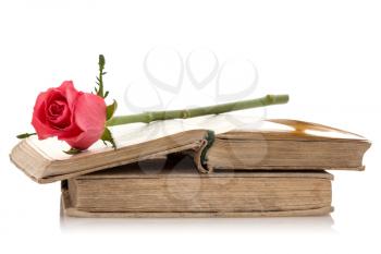 Old books with pink rose on the white background