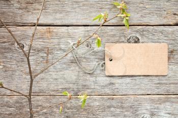 Tree branch with blank tag tied with string. Copy-space.