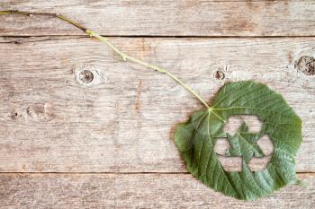 Green leaf with a cutout of a recycle symbol on a wooden background