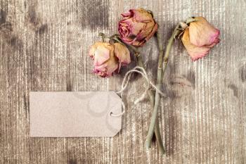 Old roses and blank paper tag. Top view with copy space.