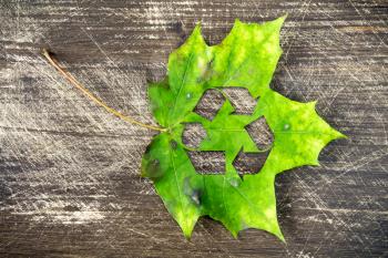 Green maple leaf with recycle symbol, lying  on wooden background