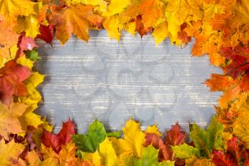 Grey wooden background with frame from colorful autumn leaves