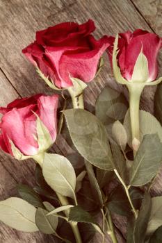 Three red roses on old wooden background