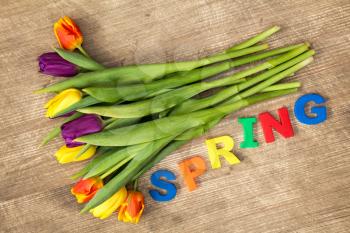 Lettering SPRING and bouquet of colorful tulips