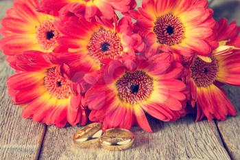 Two golden rings with beautiful gerberas on background