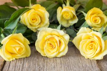 Beautiful yellow roses lying on wooden background