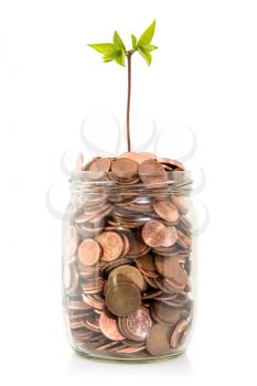 Savings money jar full of coins, isolated on white background. Investment and retirement  concept