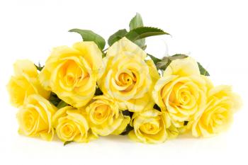Yellow roses bouquet isolated on white background