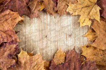 Autumn leaves frame with copy space on wooden background