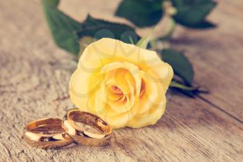 Wedding rings with yellow rose on background