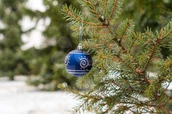 Blue Christmas Ball Hanging on the Fir Branch     