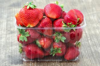 Punnet of freshly picked strawberries for sale