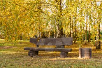 The empty wood bench in the park under autumn birch trees