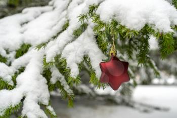 Christmas Star shaped  Decoration hanging on snowy fir tree