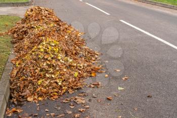  Pile of raked leaves on a street ready to collect
