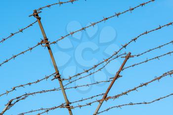 Barbed wire fencing against a blue sky background