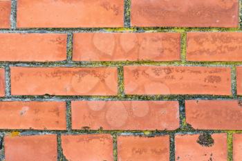 Orange brick wall close-up. Can be used as background
