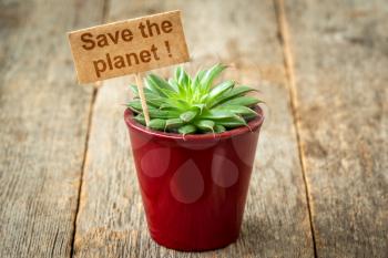 Small cactus with a Save The Planet note. Take care of the environment do ecological actions 