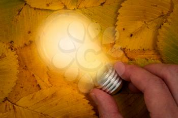 Man's hand holding glowing  light bulb on a fallen leaves background. Energy saving concept. 