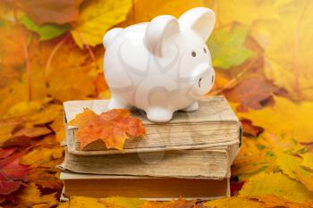 Piggy bank on top of books with autumn foliage. Cost of education theme.