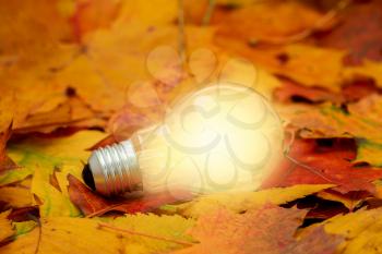 Glowing light Bulb with autumn background. Eco concept power energy in nature.