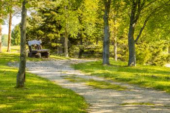 Pathway in a peaceful green park. Summer landscape with bench and  road in empty park.