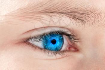 Blue eye of a kid, macro, close-up view