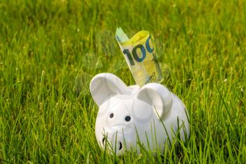 Piggy bank with one hundred euro on green grass field