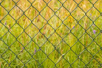 Metal mesh on a nature background. Metal fence from wire in green garden.