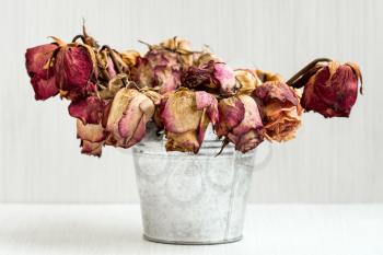 A bouquet of dead withered  roses in old shabby aluminium bucket