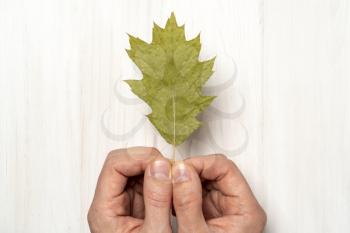 Hands holding dry leaf. Concept for life balance , wellness, meditation.