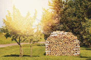 Stack of chopped firewood getting dried on sunny summer day