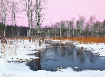 Sunset in forest near the river