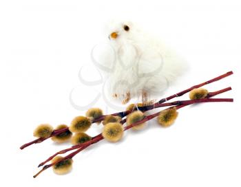 Easter chicken and willow on white background