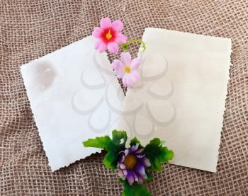 Two blank photo cards with different flowers