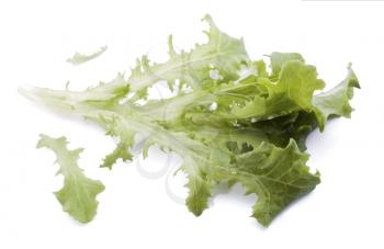 Lettuce leaf bunch isolated on white background