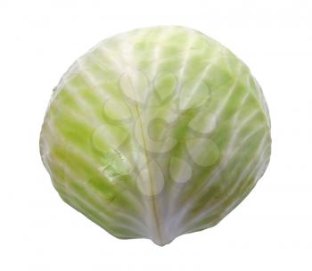 Green cabbage on the white background