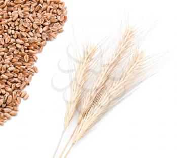 Wheat ears and wheat grains on white 