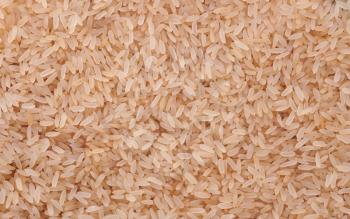 Yellow rice texture or background