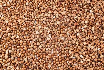 Buckwheat texture for background