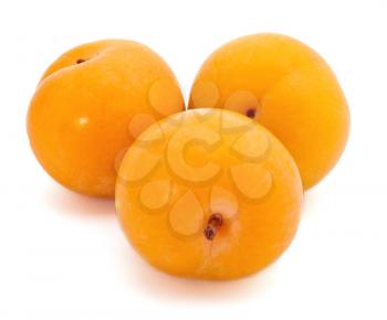 Group of yellow plums on white background